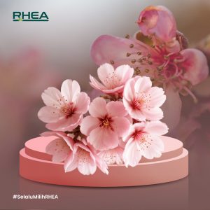 Keindahan Cherry Blossom yang juga Kaya Akan Manfaat Kesehatan